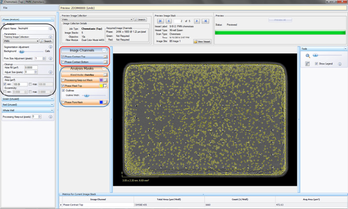 Chemotaxis Migration (Top Only) Processing Definition Editor - PHASE